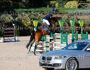 Paini Ottava Meraviglia GioCav2013 S5 4661 : Horses, Ottava Meraviglia, Paini Paolo, ph Stefano Secchi ©